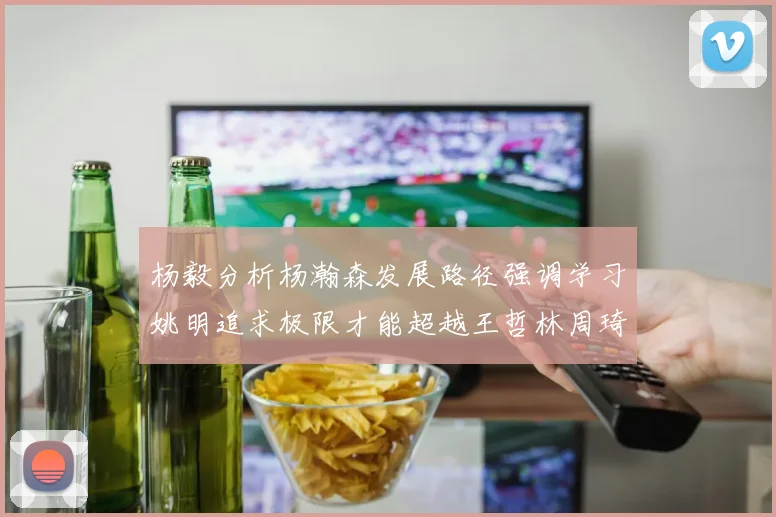 杨毅分析杨瀚森发展路径强调学习姚明追求极限才能超越王哲林周琦状态